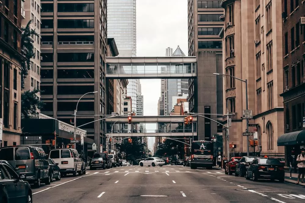 Discover Rose Hill in New York City