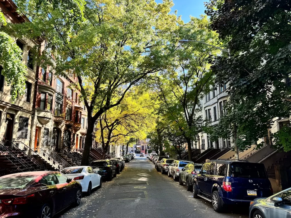 Get to Know Sugar Hill in New York City