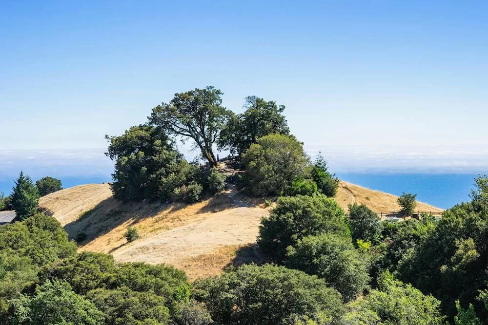 Get to Know Pacific Palisades in Los Angeles