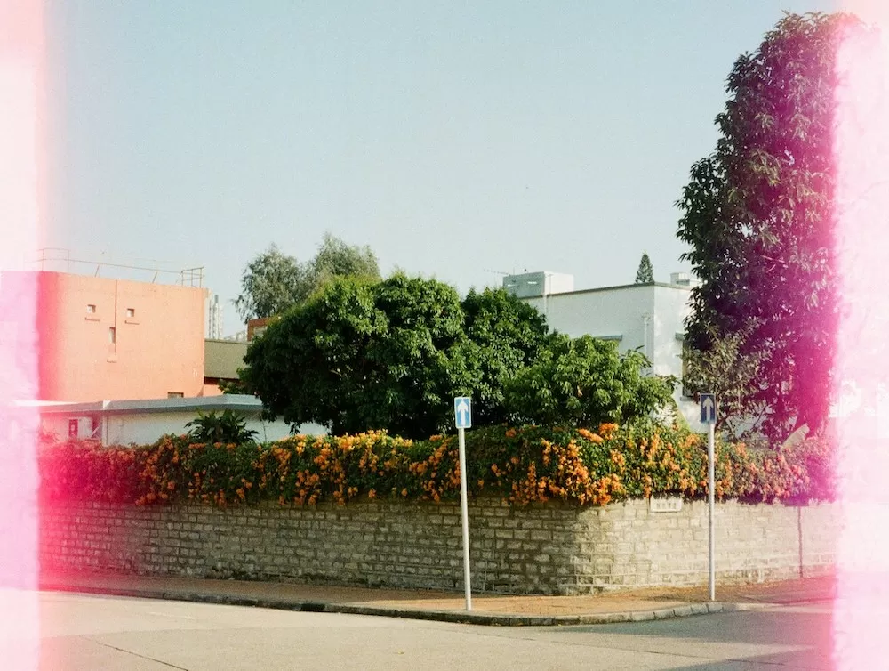 Learn All About Westwood in Los Angeles