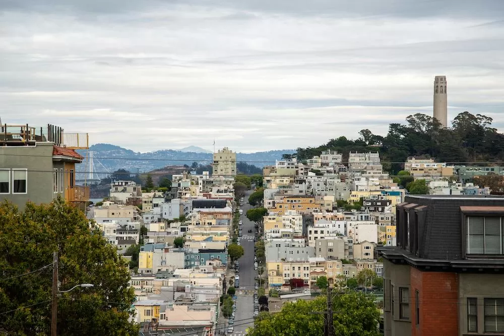 Learn All About Pacific Heights in San Francisco