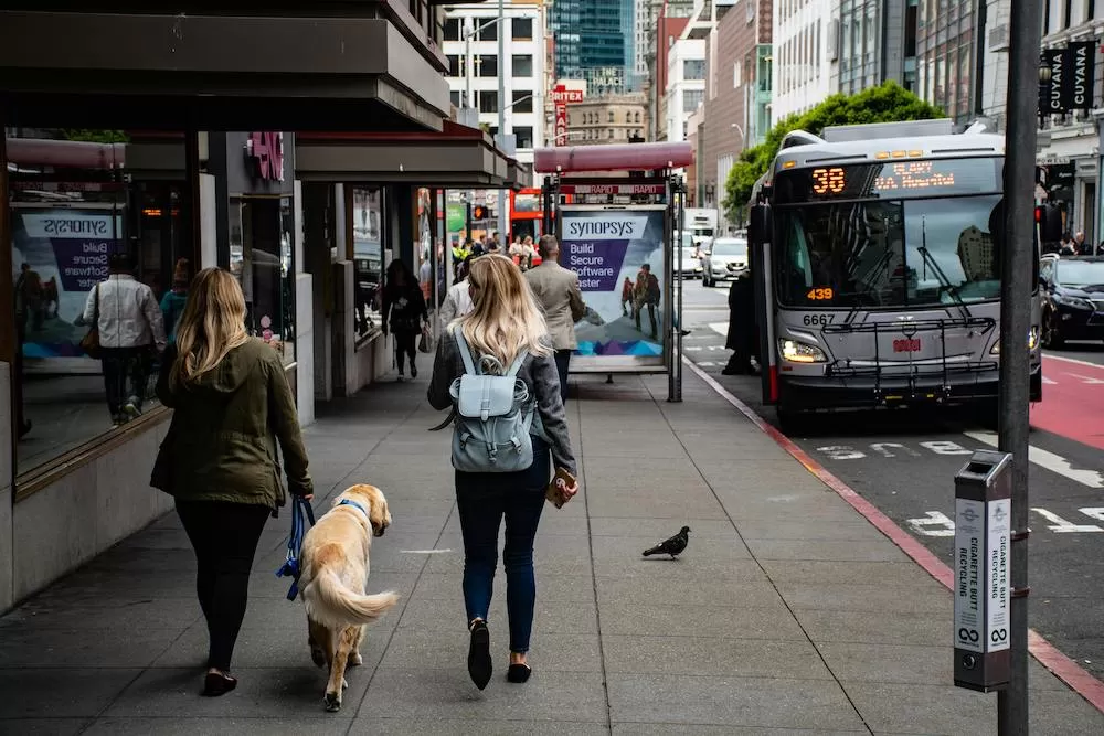 Introducing Hayes Valley in San Francisco