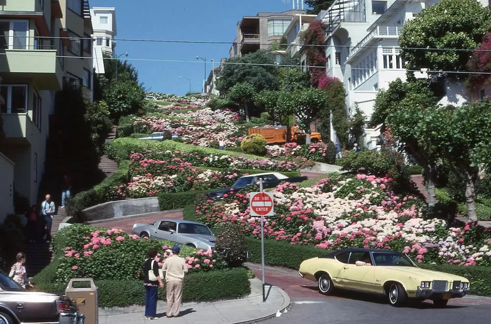 Learn All About Russian Hill in San Francisco
