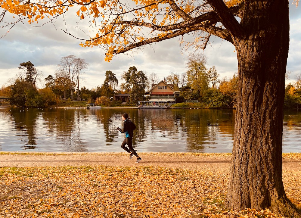 These 10 Places have The Best Fall Foliage in Paris