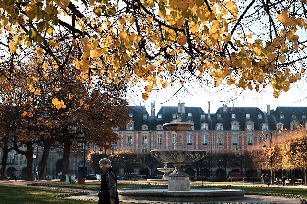 These 10 Places have The Best Fall Foliage in Paris