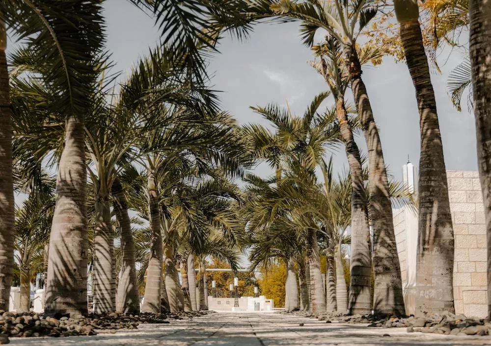 Discover The Upper East Side of Miami