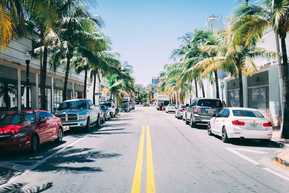 Learn All About Buena Vista in Miami