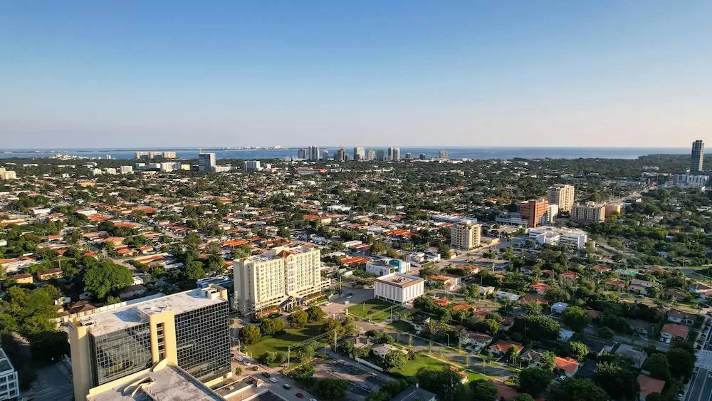 Learn All About Buena Vista in Miami