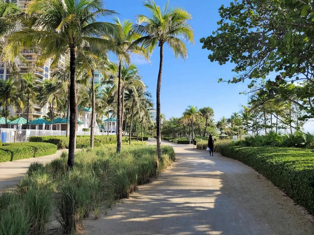What to Know About Morningside in Miami
