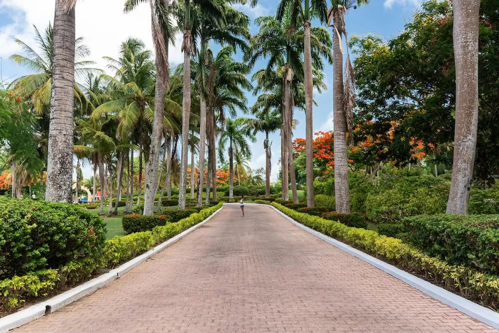 What to Know About Morningside in Miami