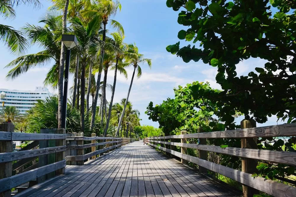 Learn All About Spring Garden in Miami