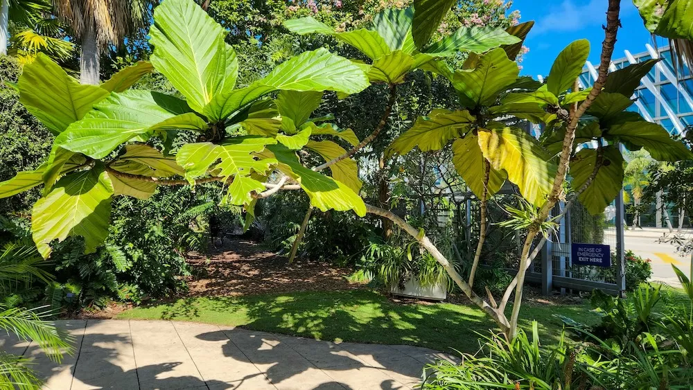 Learn All About Spring Garden in Miami