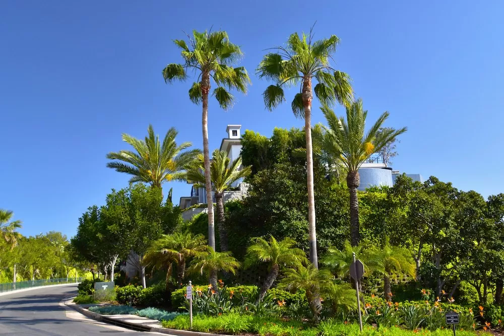 Discover Pinecrest in Miami