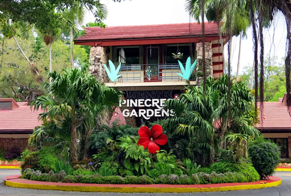 Discover Pinecrest in Miami