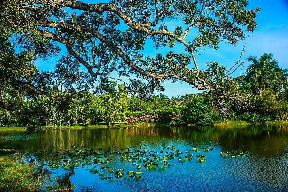 The 10 Most Romantic Spots in Miami