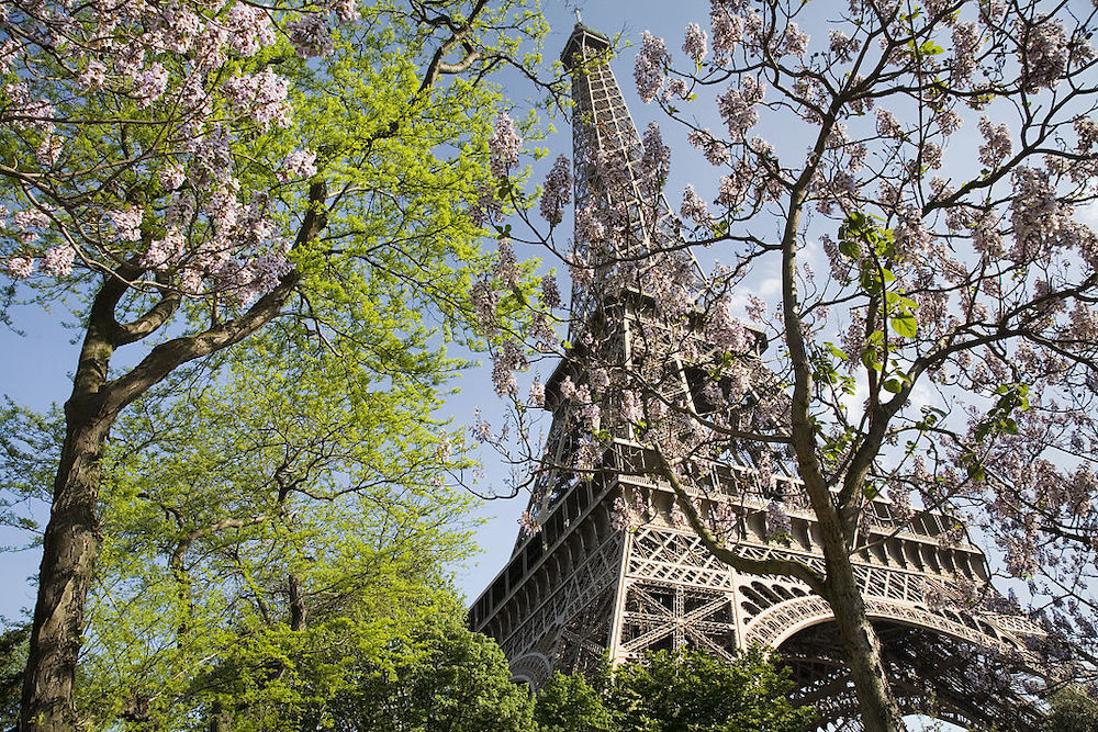 Paris: City Travel Guide