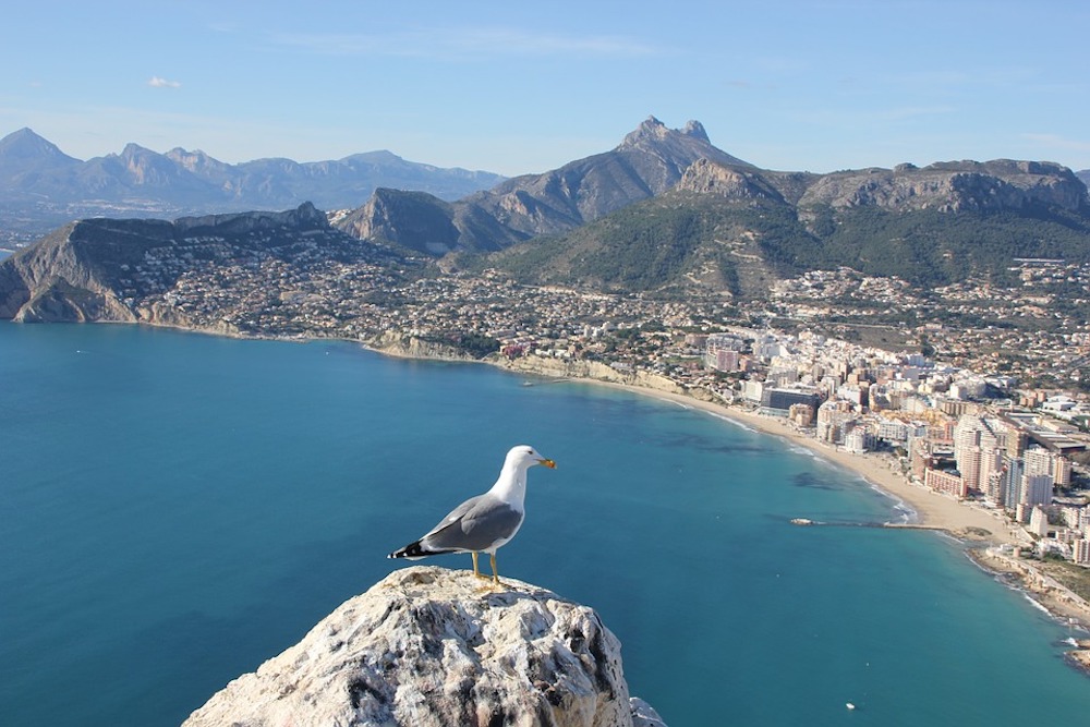 Alicante City Travel Guide