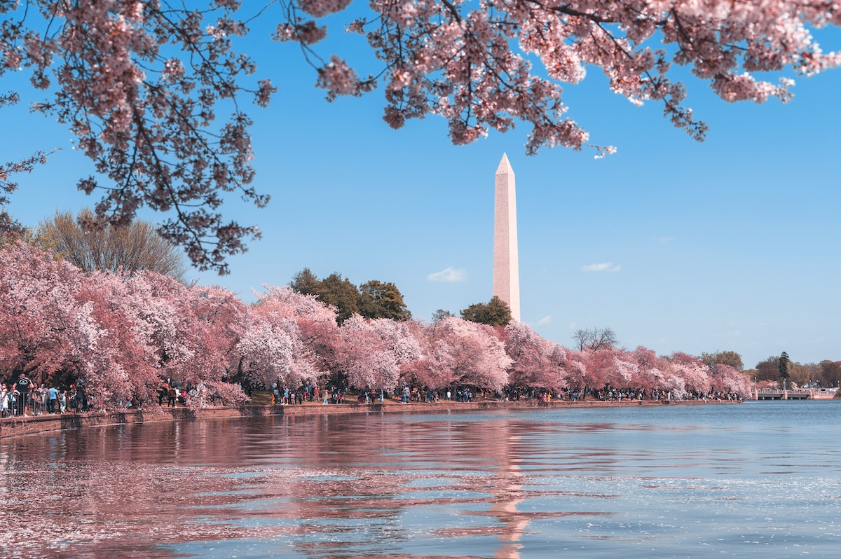 Washington D.C.: City Travel Guide