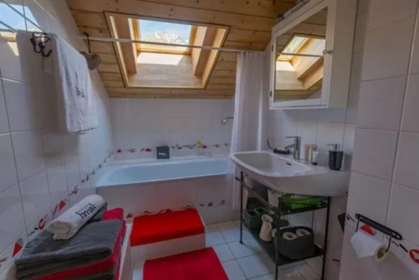 cool skylights of Luxury Apartment Les Frères holiday home and vacation rental