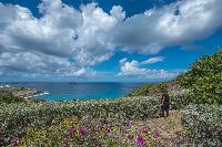 beautiful sea view from Saint Barth Villa Sea Bird luxury holiday home, vacation rental