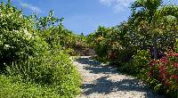 lush garden of Saint Barth Villa Casamia luxury holiday home, vacation rental