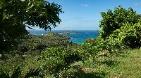 lovely garden of Saint Barth Villa Panorama luxury holiday home, vacation rental