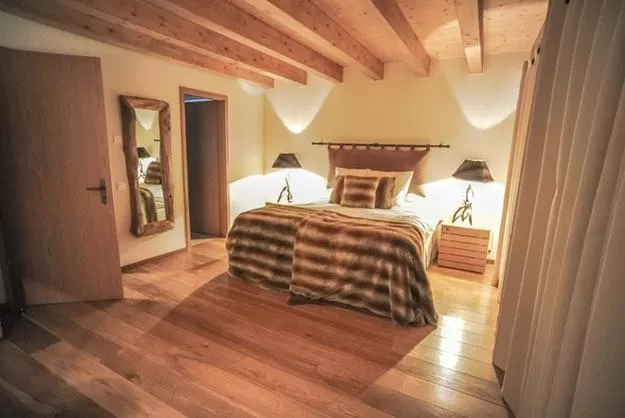 nice Chalet Grand Sapin luxury apartment, holiday home, vacation rental
