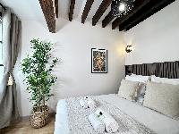 Le Marais' Finest Luxurious Apartment