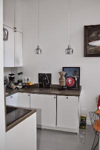 modern well-equpped kitchen in Paris luxury apartment