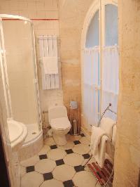 fresh and clean bathroom in Paris - Saint André des Arts 1 luxury apartment