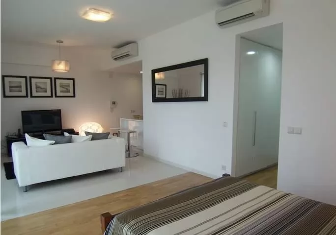 cozy Singapore - 2BR Luxury Apartment - One North holiday home and vacation rental