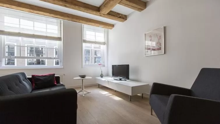 awesome Amsterdam - Robin Apartment luxury home and vacation rental