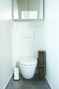 sleek white-and-gray toilet in Paris luxury apartment