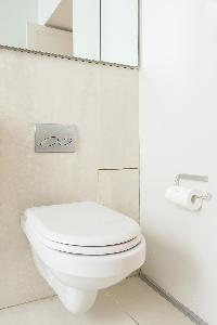 sleek pale-painted toilet in Paris luxury apartment