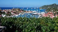 lush surroundings of Saint Barth Villa Serenity luxury holiday home, vacation rental