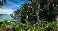 lush surroundings of Saint Barth Villa Cumulus luxury holiday home, vacation rental