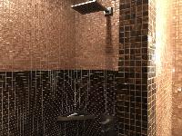cool shower in Saint Germain des pres - Abbé Grégoire luxury apartment