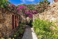 lush surroundings of Saint Barth Villa Acamar luxury holiday home, vacation rental