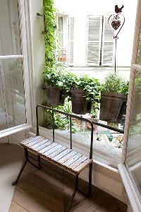 tall French windows with potted plants in Paris luxury apartment