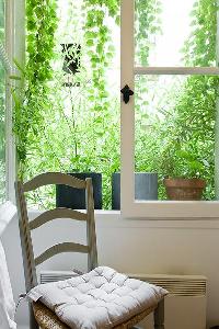 a chair and French window with potted plants in a Paris luxury apartment