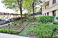 lovely courtyard in paris luxury apartment