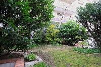 courtyard with plenty of plants and brick walls in a Paris luxury apartment