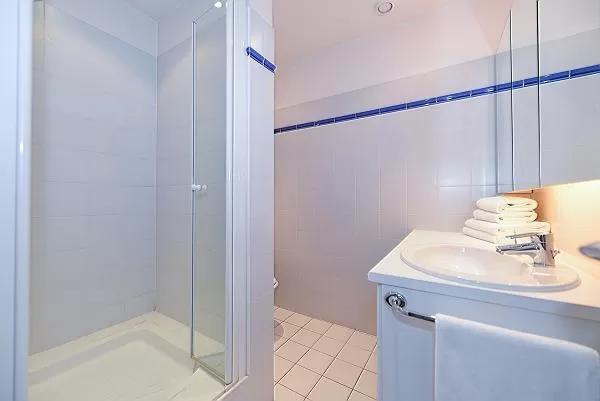 an en suite bathroom with shower and toilet in paris luxury apartment