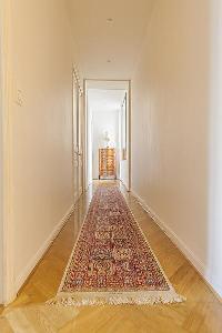 lovely, exotic rug in Cannes - Carnot luxury apartment