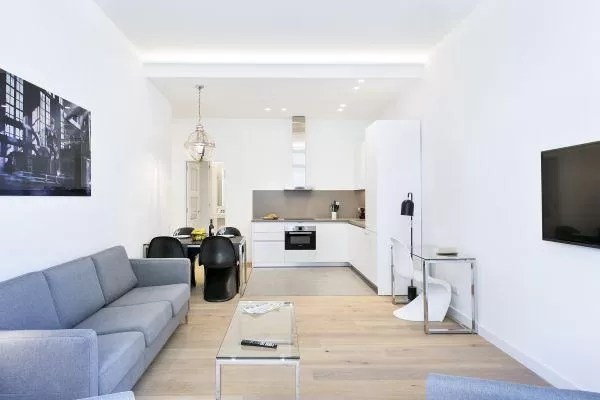 nice Barcelona - Deluxe Palou Wide Living Room luxury apartment and vacation rental